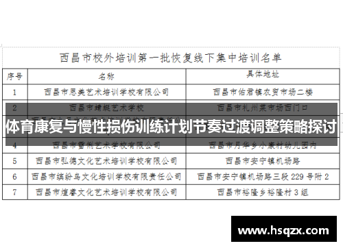 体育康复与慢性损伤训练计划节奏过渡调整策略探讨